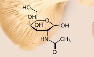 Acetyl Glucosamine